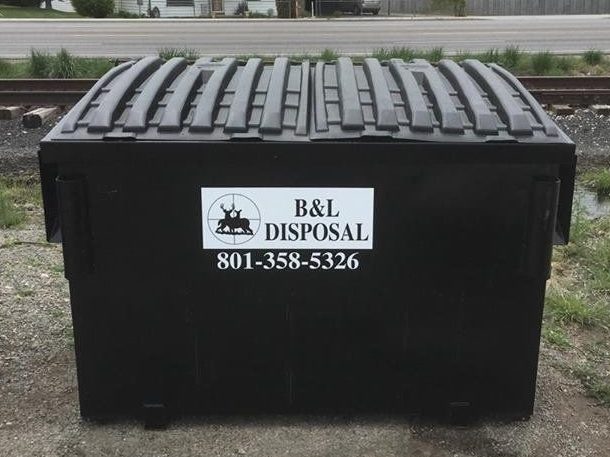 Commercial Trash Service Small Dumpster Image